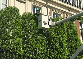 Atlanta Tree Services Boutte Tree, INC.