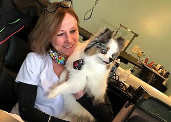 Bow Wow & Meows Grooming Spa Philadelphia Pet Grooming image 1