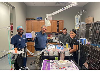 Elgin Veterinary Clinics Bowes Animal Hospital