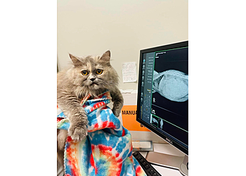 Elgin Veterinary Clinics Bowes Animal Hospital