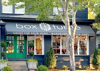 Box Turtle Little Rock Gift Shops