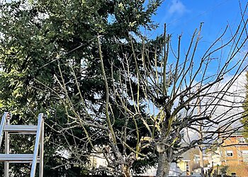 Seattle Landscaping Companies Bp Greenworks LLC