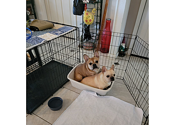 Springfield Veterinary Clinics Bradford Park Veterinary Hospital