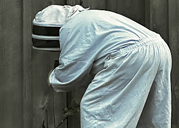 Springfield Pest Control Companies Braman Termite & Pest Elimination