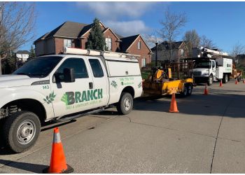 Branch Tree & Landscape Service, Inc.