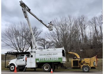 Branching Out Tree Service Evansville Tree Services