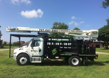 Brandon's Tree Service LLC Chesapeake Tree Services