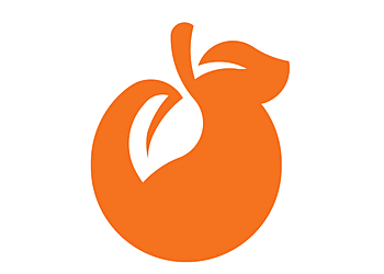 Bakersfield Advertising Agencies Brangerine