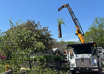 Minneapolis Tree Services Bratt Tree Company