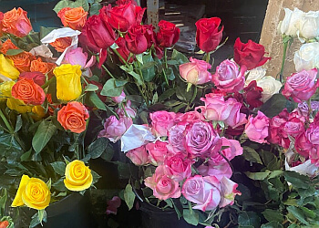 Cambridge Florists Brattle Square Florist