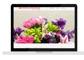 McAllen Web Designers Bravo Technologies