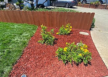 Bravos Landscaping Services Hayward Landscaping Companies image 1