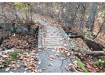 Cambridge Hiking Trails Breakheart Reservation