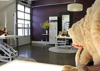 Ann Arbor Pet Grooming BreedAbove