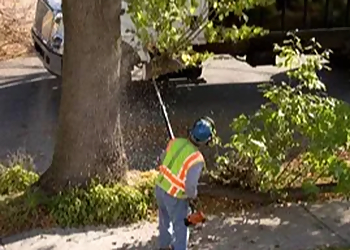 Beaumont Landscaping Companies Brent Wester Landscape Management
