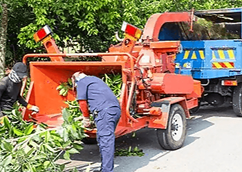 Round Rock Tree Services Brents Tree Service