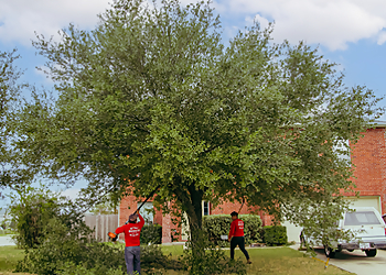 Round Rock Tree Services Brents Tree Service