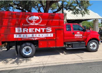Brents Tree Service Round Rock Tree Services