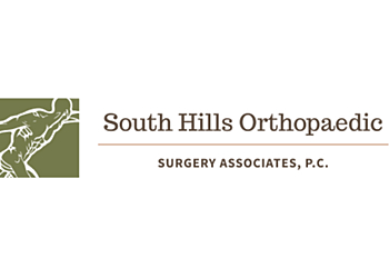 Pittsburgh Orthopedics Brett Perricelli, MD - SOUTH HILLS ORTHOPEDIC SURGERY ASSOCIATES PC