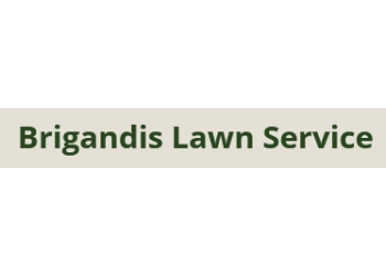 Vallejo lawn care service Brigandi's Lawn Service