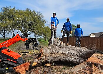 Garland Tree Services Bright Tree Service