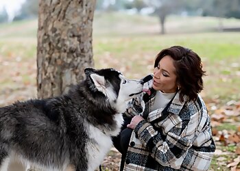 Fresno Dog Walkers Britt’s Bed and Barkfest LLC