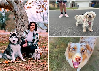 Fresno Dog Walkers Britt’s Bed and Barkfest LLC