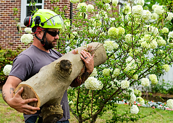 Durham Tree Services BroadLeaf Tree and Shrub