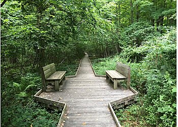 Broad Meadow Brook Wildlife Sanctuary Worcester Hiking Trails image 1