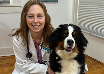 Indianapolis Veterinary Clinics Broad Ripple Animal Clinic