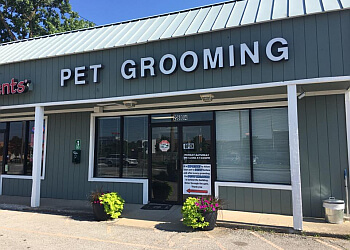 Broad Ripple Canine Design Indianapolis Pet Grooming