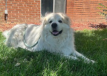 Denver Veterinary Clinics Broadview Animal Clinic