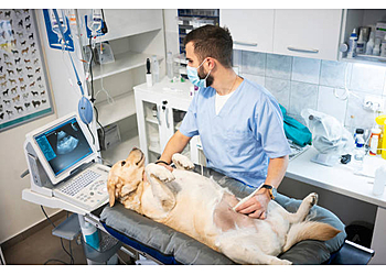 Vallejo Veterinary Clinics Broadway Pet Hospital