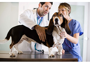 Vallejo Veterinary Clinics Broadway Pet Hospital