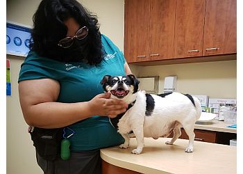 New York Veterinary Clinics Bronx Veterinary Center