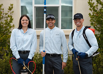Corona Pest Control Companies Brooks Pest Control
