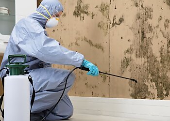 Escondido Pest Control Companies Brooks Pest Control