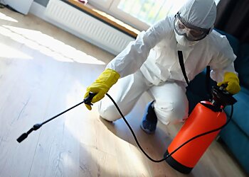 Escondido Pest Control Companies Brooks Pest Control