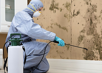 Long Beach Pest Control Companies Brooks Pest Control Los Alamitos