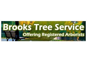 Chesapeake tree service Brooks Tree Service