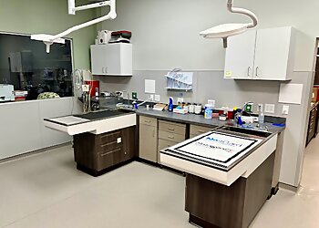 Coral Springs Veterinary Clinics Brookside Animal Hospital