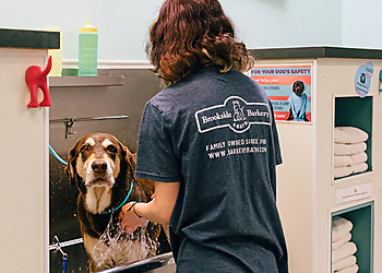 Kansas City Pet Grooming Brookside Barkery & Bath
