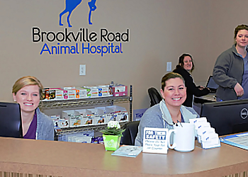 Indianapolis Veterinary Clinics Brookville Road Animal Hospital