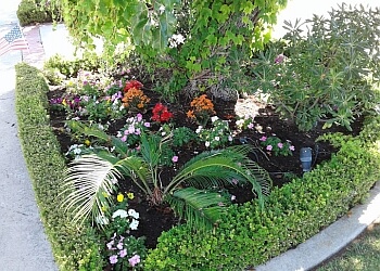 Brothers Landscape Services - Garden Grove, CA Lawn Care Services - Job Site Image