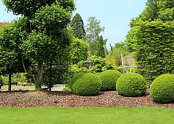 Brothers Landscaping & Design Wilmington Landscaping Companies image 1