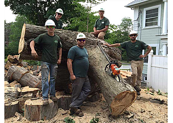 Waterbury Tree Services Brothers' Tree Service LLC