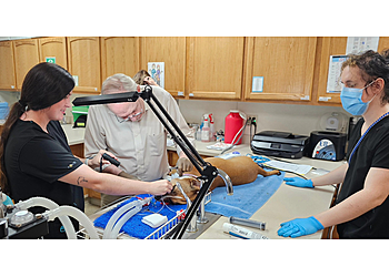 Peoria Veterinary Clinics Brown Animal Hospital