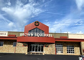 Brown Squirrel Furniture Knoxville Furniture Stores