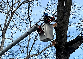 Topeka Tree Services Brown's Tree Service