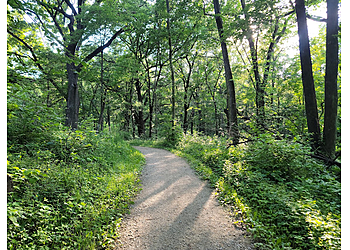 Des Moines Hiking Trails Brown's Woods